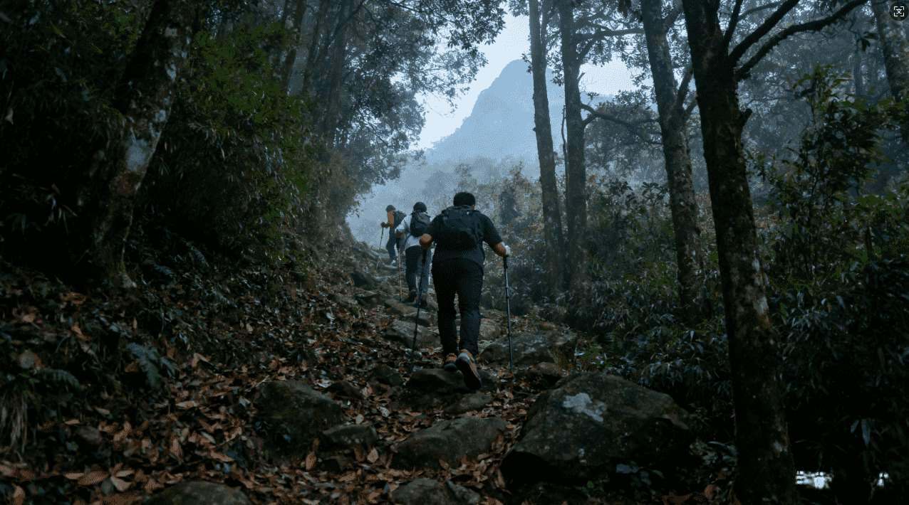解决西柚加速器有限时问题的方法